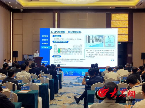 菏澤化工新材料產業 凝聚行業力量，技術驅動高質量發展