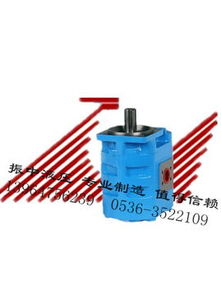 實惠可靠的高壓齒輪油泵——振中液壓機械廠專業(yè)供應(yīng)青州液壓油泵